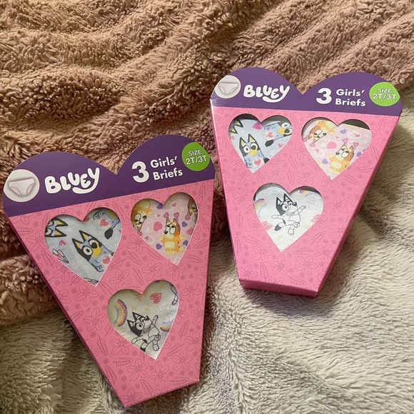 NWT Bluey Valentine’s Day Little Girl Underwear Pack - Picture 1 of 4